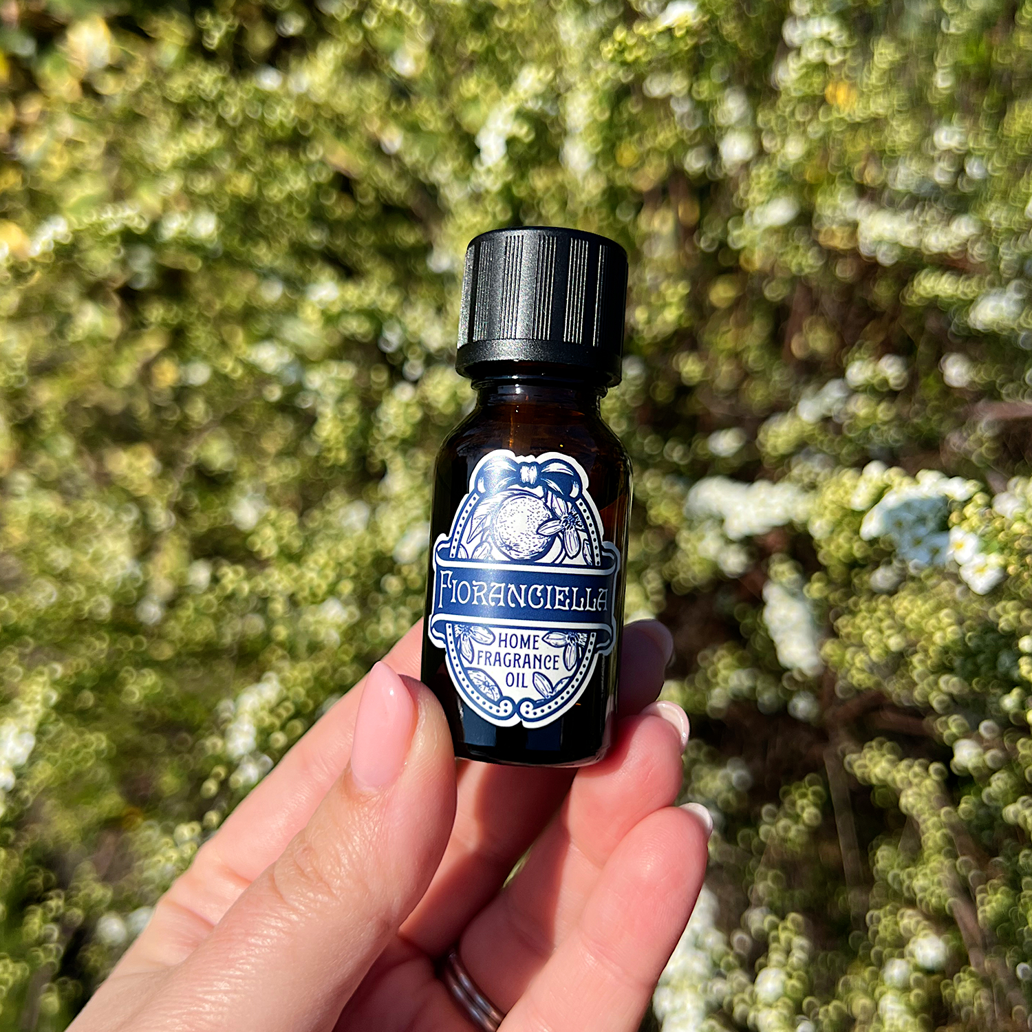 Fioranciella Home Fragrance Oil - Gallia Rae